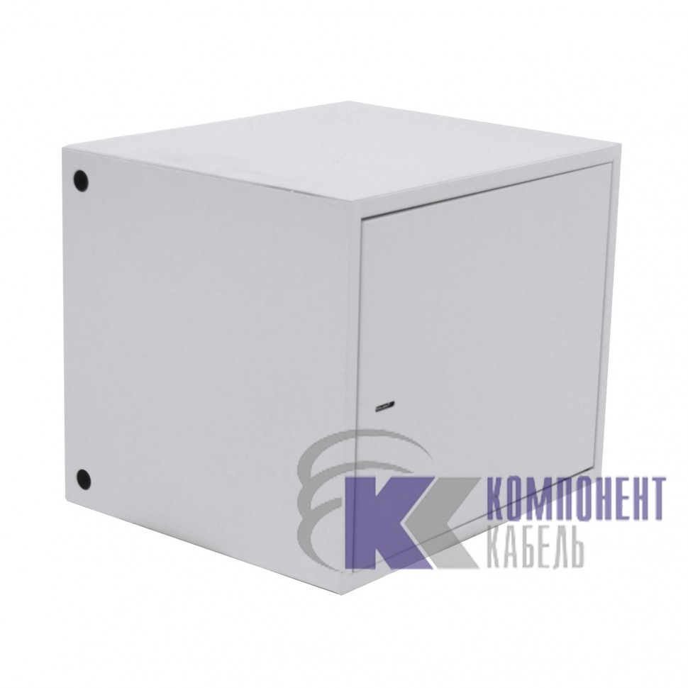 Шкаф антивандальный распашной 10U AV-6510 (600*500*500) в Краснодаре